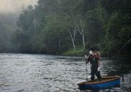 Indonesia, Sumatra, Aceh province, Jantho Reintroduction Centre located in the Jantho Pine Forest Nature Reserve.At dawn, veterinarian Pandu crosses the Krueng Aceh river in a small boat carrying Diana, an 8-year-old female orangutan, for a final release. But this is not Diana’s first attempt. In 2014, she was released unsuccessfully having to return several times to the SOCP Quarantine Centre in Sibolangit for a variety of ailments. Having been domesticated, Diana had difficulty adjusting to forest food and on her last visit to the clinic, they discovered she had malaria (an extremely dangerous illness for an orangutan) that required a blood transfusion. Since, she has been on a strict diet of leaves but it remains to be seen if she will successfully adapt to the jungle this time.Diana has developed a particular bond with Pandu over the years and is so comfortable with the vet that she just climbs on his back for the ride across the river.The goal of the Jantho Reintroduction Centre is to establish a new, wild and sustainable Sumatran orangutan population within the Jantho Pine Forest Nature Reserve. Since 2011, over 100 orangutans have been released back into their natural habitat and several new births have been recorded.General caption:Indonesia’s Sumatran orangutan is under severe threat from the incessant and ongoing depletion and fragmentation of the rainforest.  As palm oil and rubber plantations, logging, road construction, mining, hunting and other development continue to proliferate, orangutans are being forced out of their natural rainforest habitat. Organizations like the OIC (Orangutan Information Centre) and their immediate response team HOCRU (Human Orangutan Conflict Response Unit), rescue orangutans in difficulty (lost, injured, captive...) while the SOCP (Sumatran Orangutan Conservation Programme) cares for, rehabilitates and resocializes orangutans at their purpose-built medical facility, aiming to reintroduce them into the wild and to create new self-sustaining, genetically viable populations in protected forests.That we share 97% of our DNA with orangutans seems obvious when you observe their human-like behavior. Today, with just over 14,000 specimens left, the Sumatran orangutan (Pongo Abelii) along with the 800 specimens of the recently discovered Tapanuli species (Pongo tapanuliensis), are listed as critically endangered by the International Union for Conservation of Nature (IUCN).